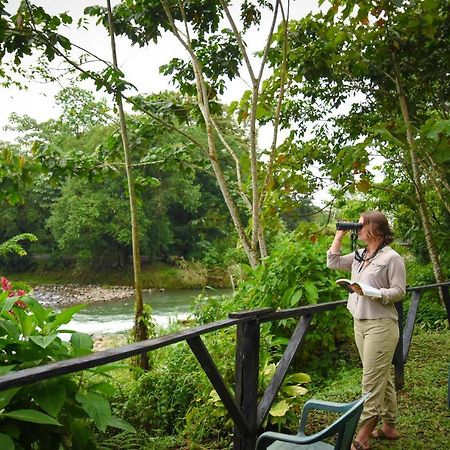 Chilamate Rainforest Eco Retreat Villa Puerto Viejo de Sarapiqui Екстериор снимка