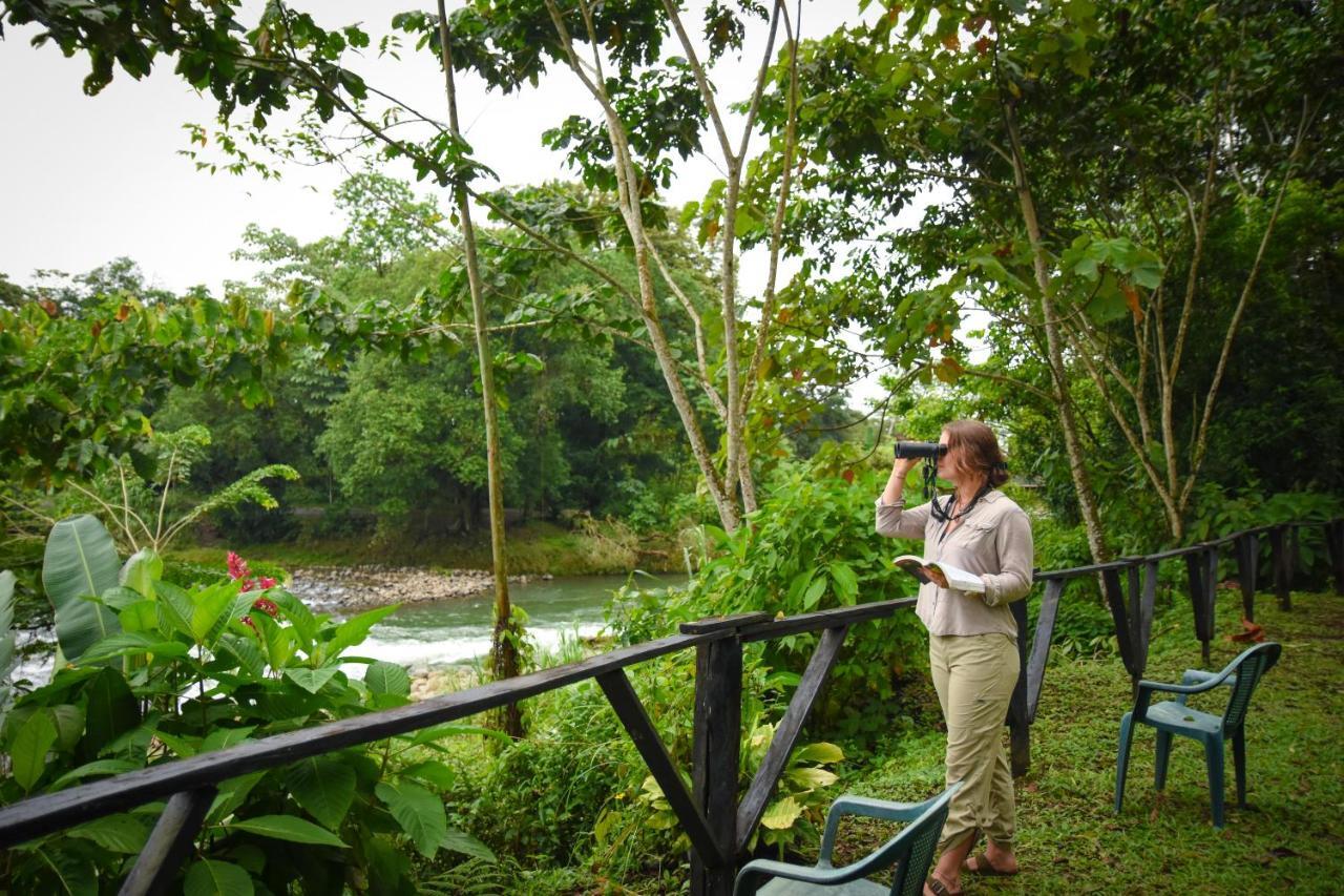 Chilamate Rainforest Eco Retreat Villa Puerto Viejo de Sarapiqui Екстериор снимка